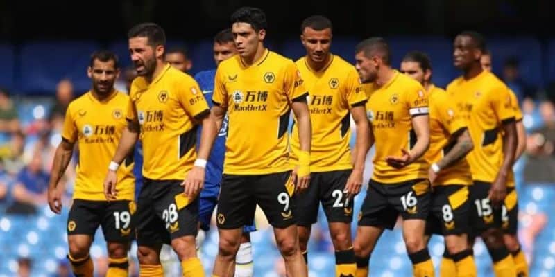 Tổng quát về câu lạc bộ Wolverhampton Wanderers